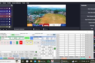 cricket auto score 2024