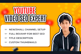 be your youtube video SEO expert with vidiq and tubebuddy