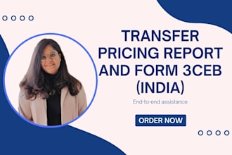 prepare transfer pricing report and file form 3ceb in india
