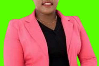 do epidemiology, essay, health policy, biostatistics, environmental and global