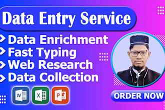 do data entry, data enrichment, fast typing, copy paste, web research