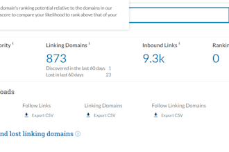 provide high authority expired domain name for sale
