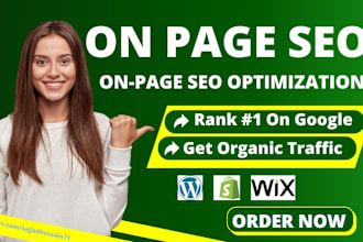 do advanced on page SEO optimization for wordpress, shopify, wix website