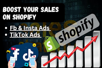 do facebook marketing, fb, insta and tiktok ads for leads and sales on shopify