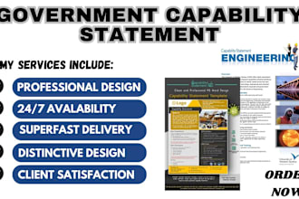 do government capability statement for government contract
