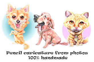 draw a custom pet caricature in pencil