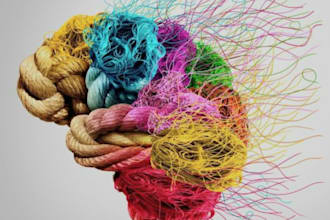 deliver essays in american history, psychology and pediatrics