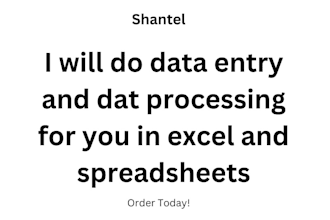 do data entry and dat processing for you in excel and spreadsheets