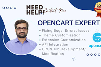 upgrade, fix any issue, or customize the opencart store