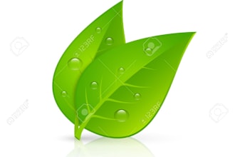 do bio based biodegradable eco friendly chemical formulation