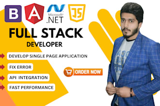 be your expert angular, dot net core web developer