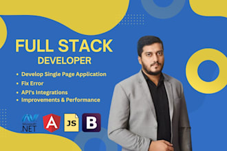 be your expert angular, dot net core web developer