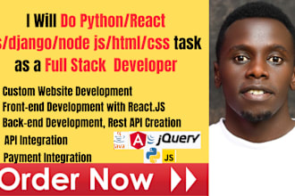 do python react js django nodejs php css html website as a full stack developer