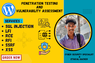 do penetration testing on your website and provide professional reports