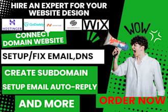 fix,connect,redirect domain or subdomain,migrate email dns of any website 2hours