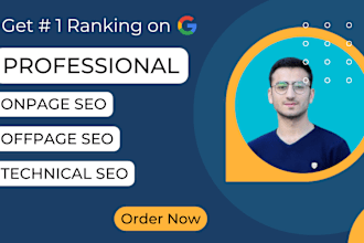 optimize on page and technical SEO for wordpress, shopify websites