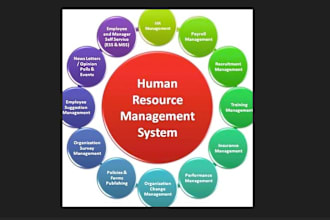 do human resource management, projects management, and leadership management