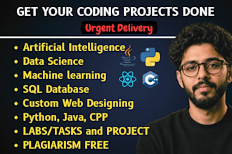 do c cpp java python sql database html programming project assignment developer