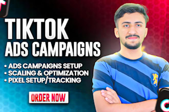 be your tiktok ads manager, tiktok campaign setup advertiser