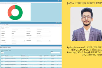 do java,spring boot,spring mvc,api,jasper report projects