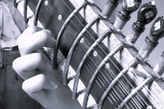 play acoustic and electric sitar for you