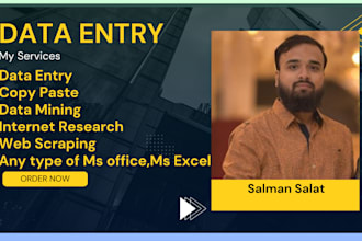 do fastest data entry in one day