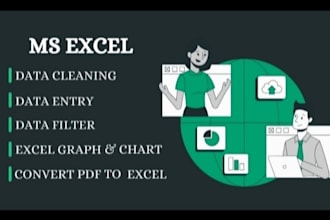 do excel data cleaning, formatting, data entry, and formulas