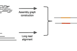assembly your custom transcriptome