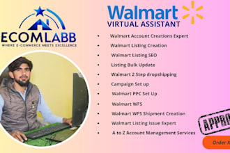 be your walmart 2 step dropshipping  VA