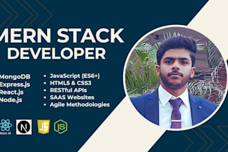 design , develop custom websites with mern stack and reactjs