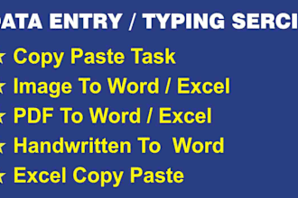microsoft word typing, scanned pdf to word, excel, retype