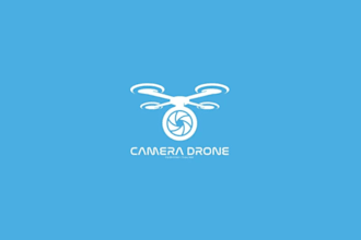 design gorgeous airline logo for your business