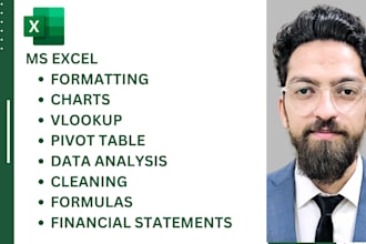 do excel data cleaning,formatting,data entry,formulas