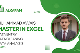 do data entry data cleaning data analysis in excel