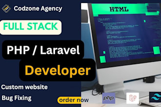 develop a custom PHP or laravel script with admin panel and API