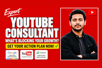 be your youtube consultant, SEO expert and monetization specialist
