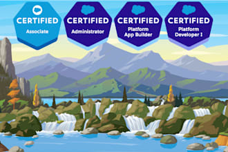 be your salesforce admin developer implement custom solution