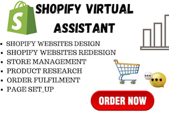 shopify virtual assistant store expert manager social media marketing boost sale