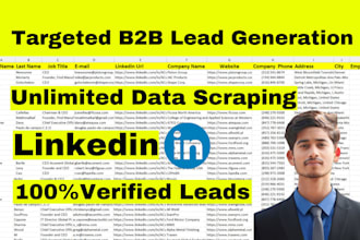 do targeted b2b lead generation and data entry with your criteria for you