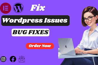 wordpress issues, errors, bugs, CSS, provide wp help