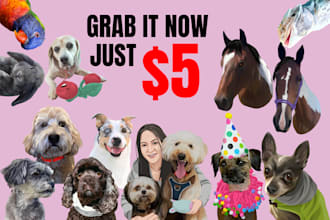 fast vector your pet