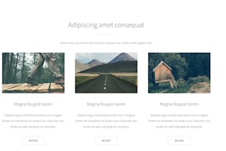 create a stunning pixel perfect website