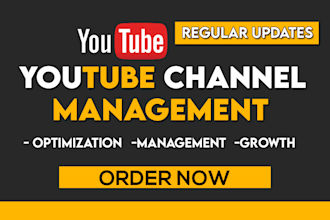 be your youtube channel manager to take it to the next level