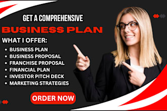 write a complete business plan with financial plan, franchise proposal, startups