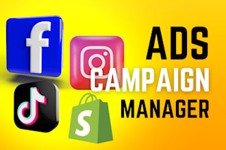 do facebook ads campaign, instagram ad campaign, google ad setup