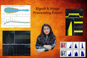 do signal processing, image processing projects on matlab and python