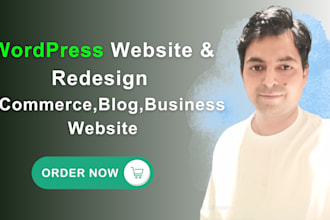 design amazing wordpress ecommerce website