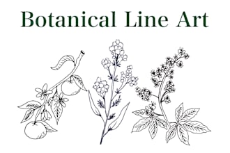 draw botanical florals simple line art