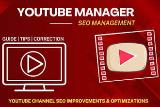 do professional youtube channel and video SEO optimization