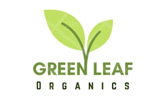create a logo and mockup for your company
